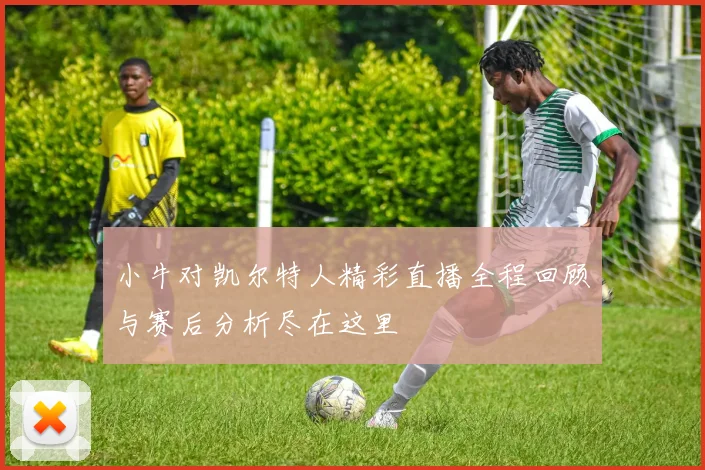 小牛对凯尔特人精彩直播全程回顾与赛后分析尽在这里